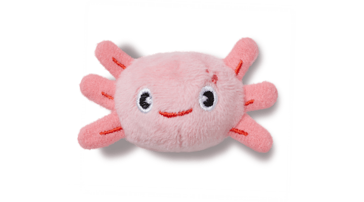 

Adjustable Axolotl