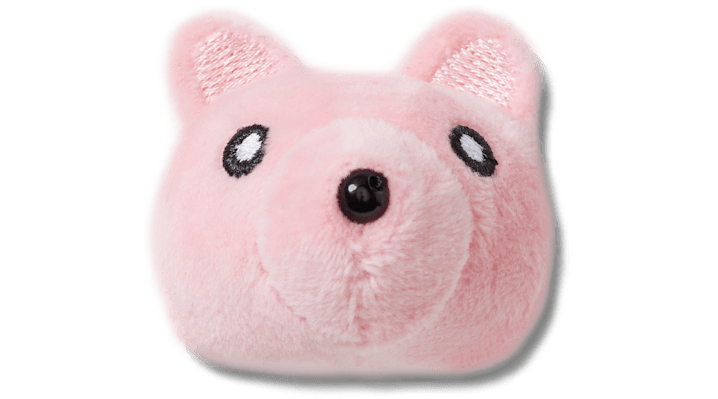 

Pink Plush Teddy Face