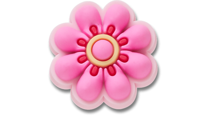 

Lil Pink Daisy Flower