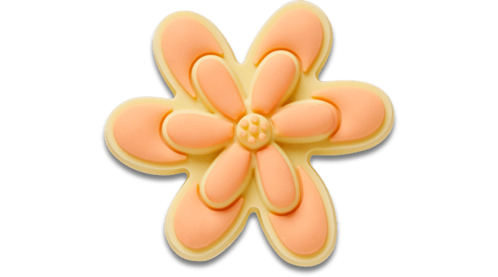 

Lil Orange Daisy Flower
