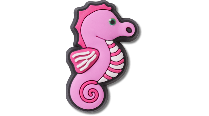 Baby Animal Seahorse