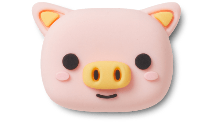 

3D Pig Face