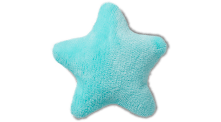 

Plush Squeaky Blue Star