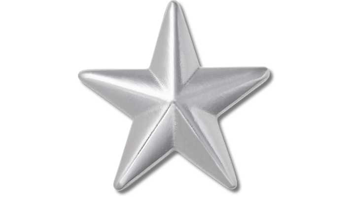 

Silver Star Badge