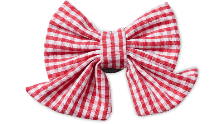 

Red Gingham Bow