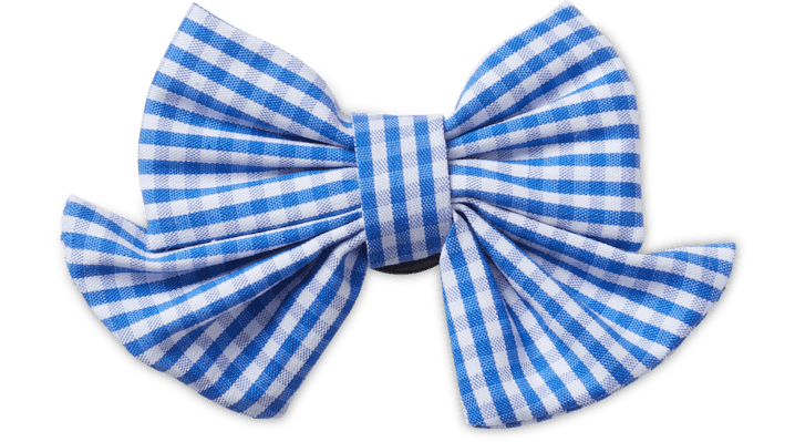 

Blue Gingham Bow