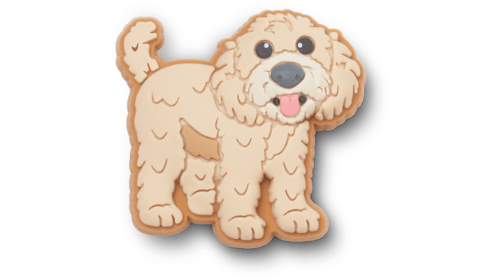 

Golden Doodle Puppy