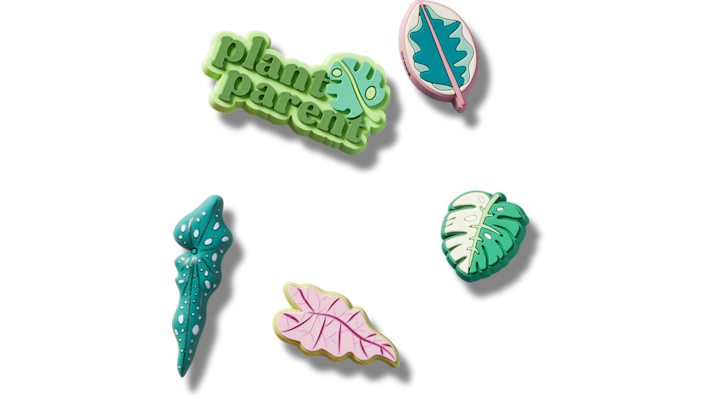 

Indoor Plant Besties 5 Pack