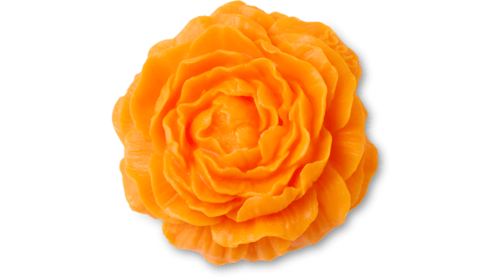 

Dia De Los Muertos Marigold