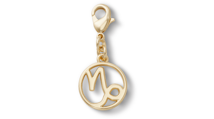 

Capricorn Charm
