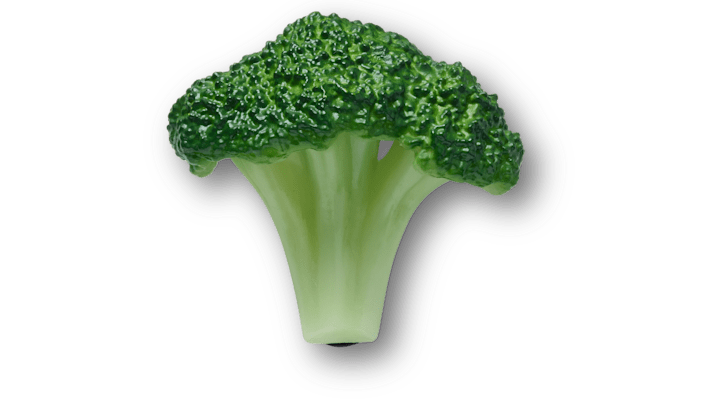 

Realistic Broccoli