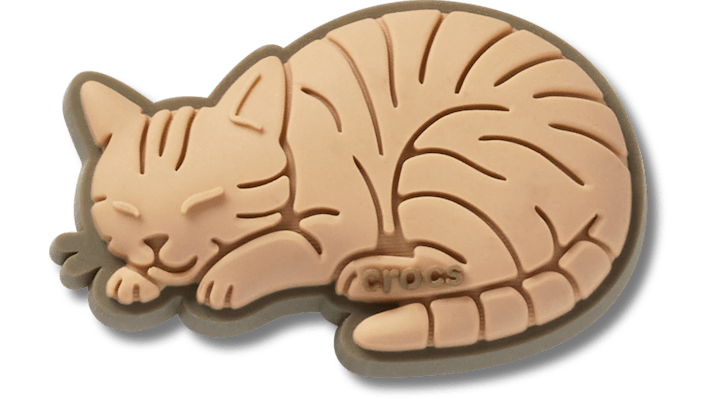 Jibbitz Tabby Cat