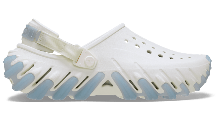 

Echo Icy RO Clog