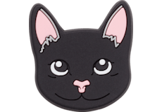 Black Cat;