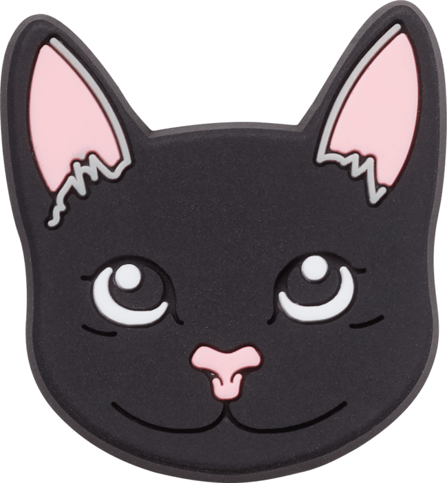 Chat noir
