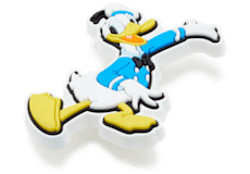 Disney's Donald Duck Character;