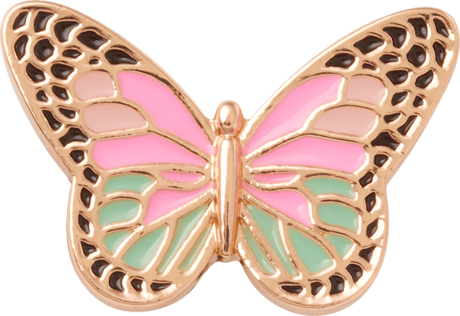 Elevated Colorful Butterfly;