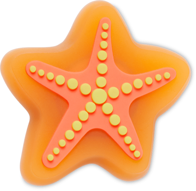 Lights Up Starfish;