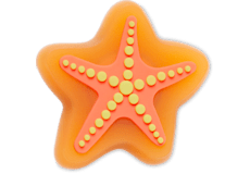 Lights Up Starfish;