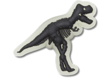 Glow In The Dark Dino Shoe - Jibbitz Charm Crocs