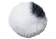 Dalmatian Puff Ball;