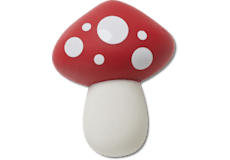 Champignon spongieux;