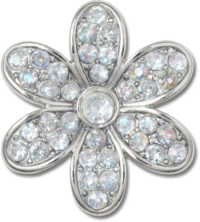 Silver Monochrome Daisy;