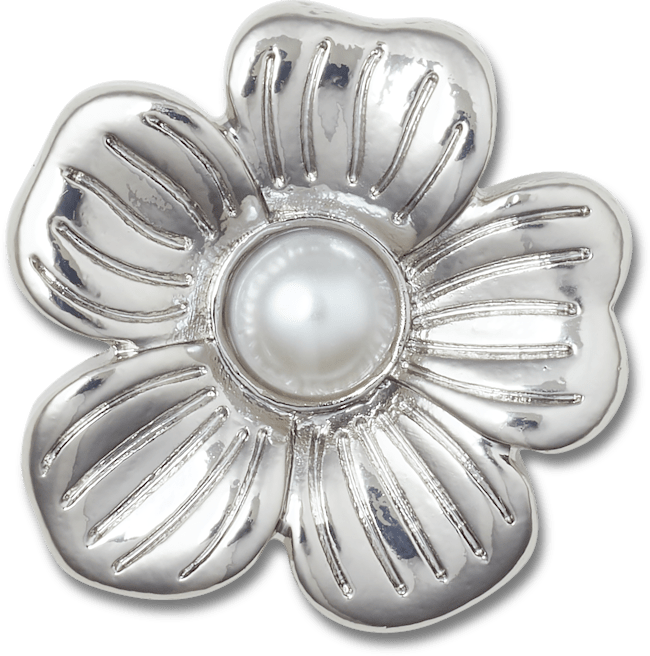 Silver Mnchrm Daisy 2