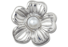 Silver Monochrome Daisy 2;
