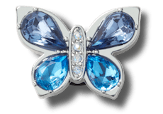 Blue Gem Butterfly;