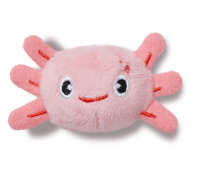 Overpuff Shorty
