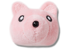 Pink Plush Teddy Face;