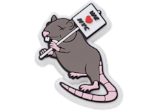 NYC Rats Run the City;