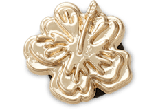Tiny Gold Hibiscus;