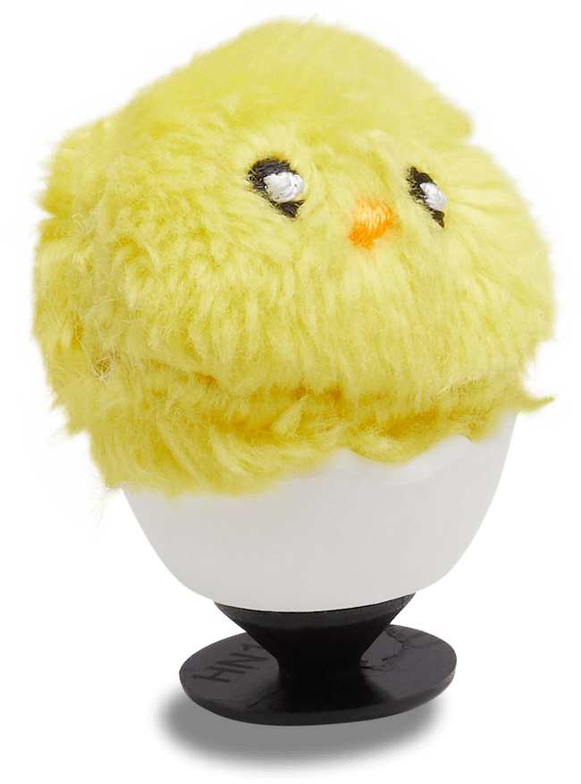 Chick In Egg;