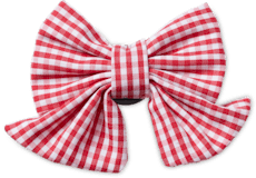 Red Gingham Bow;