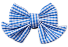Blue Gingham Bow;