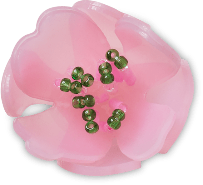 Fleur de cerisier délicate
