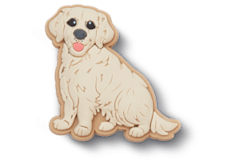 Golden Retriever Puppy;