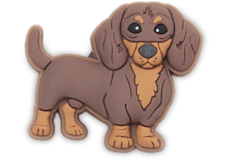 Dachshund Puppy;