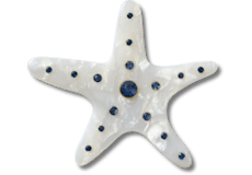Silver Starfish;