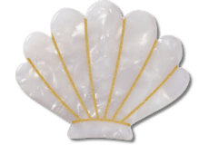 White and Gold Seashell;