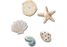 Gold Seashell 5 Pack;