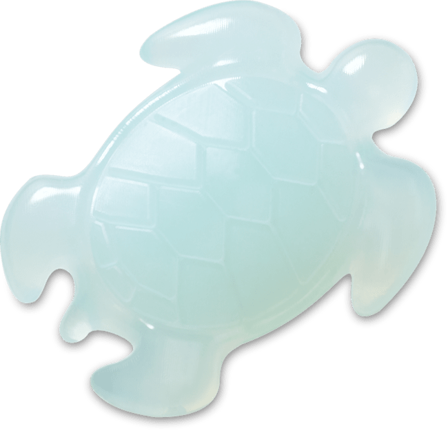 Light Blue Turtle;