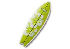 Hibiscus Surf Board;