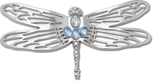 Libellule argent