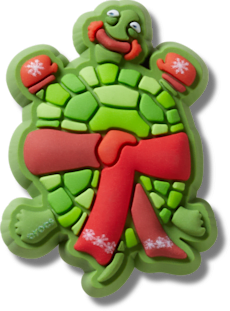 Festive Turtle