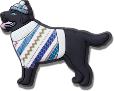 Festive Black Lab
