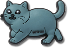 British Shorthair Cat