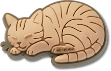 Tabby Cat